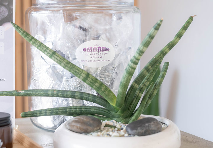 Looking to celebrate